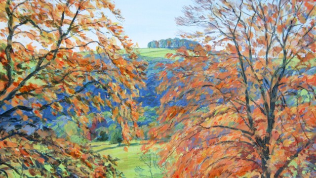Through the Beeches towards Hazelton Clump (NC 307)