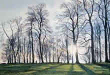 Hazelton Clump, Staffordshire #2 (NC 320)