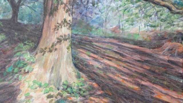 Woodland Shadows (NC 440)